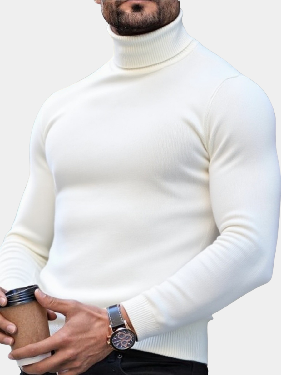 Men's Turtleneck Sweater Slim Fit Long Sleeve Classic Style Casual Wear