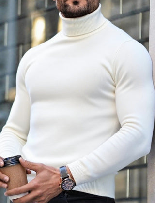 Men's Turtleneck Sweater Slim Fit Long Sleeve Classic Style Casual Wear