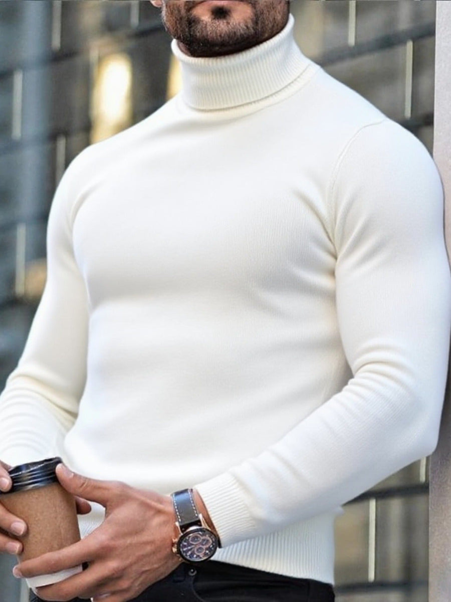 Men's Turtleneck Sweater Slim Fit Long Sleeve Classic Style Casual Wear