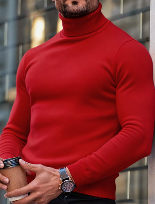 Men's Turtleneck Sweater Slim Fit Long Sleeve Classic Style Casual Wear